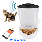 automatic smart pet Feeder