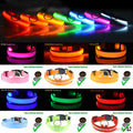 LED Adjustable Dog Collar Blinking Flashing Light