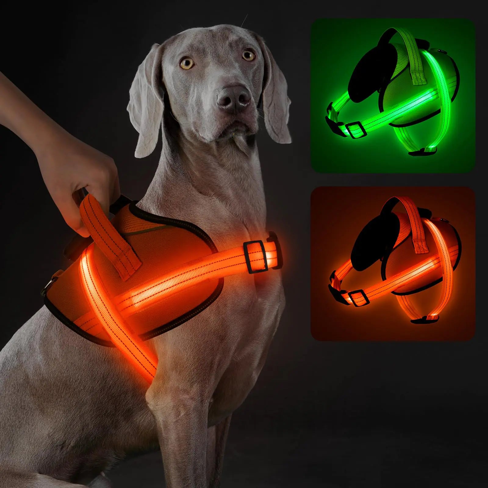Rechargeable Reflective light Up Dog Harness