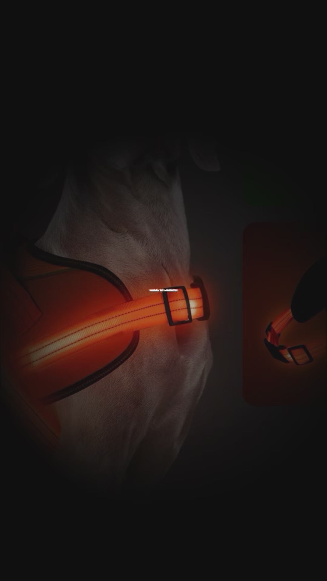 Rechargeable Reflective light Up Dog Harness